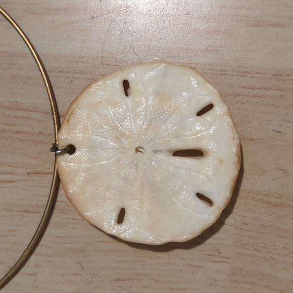 Unique Vintage Sand Dollar Choker - Picture 3 of 5
